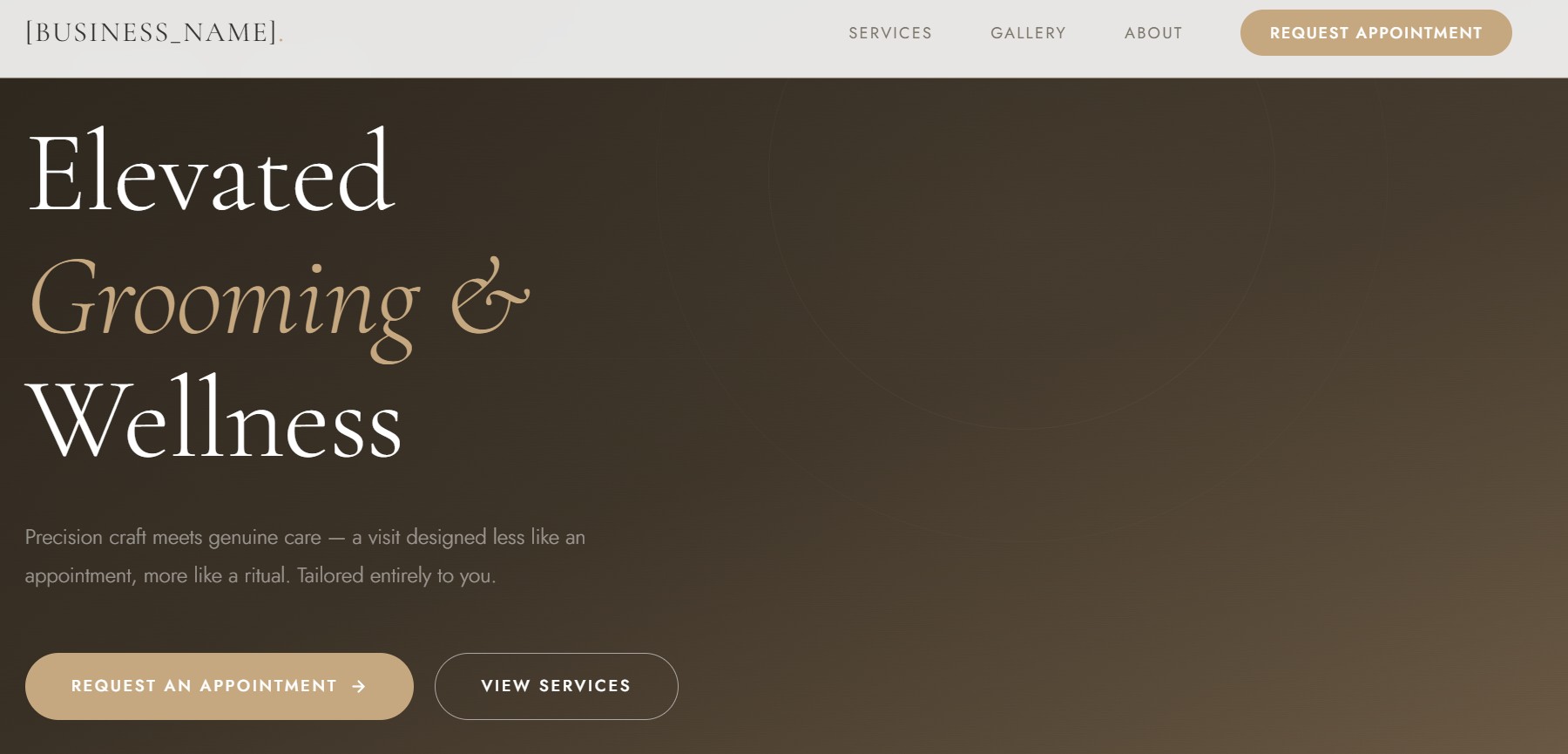 Wellness & Health website template by Digital Downtown Main, St. Louis